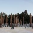 le troiane_foto centaro 