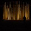 radura_notturno1 