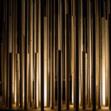 radura_notturno2 