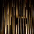 radura_notturno3 