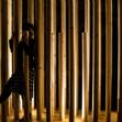 radura_notturno6 