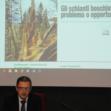 schianti_16 